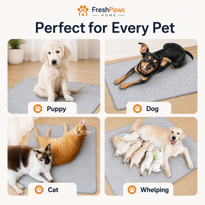 Ultra-Absorbent Washable Pet Training Pad